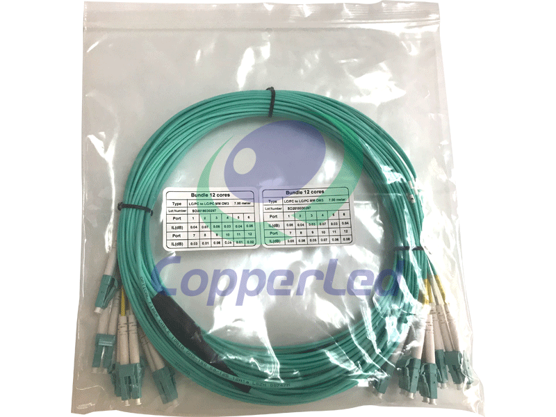 Fiber Optic System CL-PLCLC-OM12