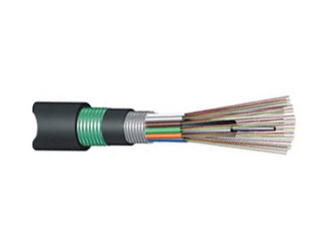  Fiber Optic System CLGYTA53