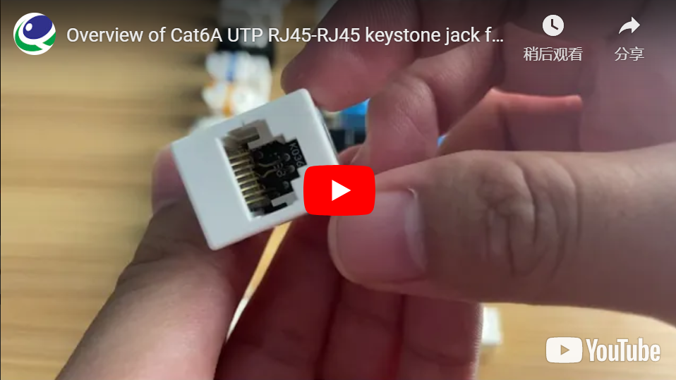 Cat6A UTP RJ45-RJ45 Keystone Jack for Patch Cord