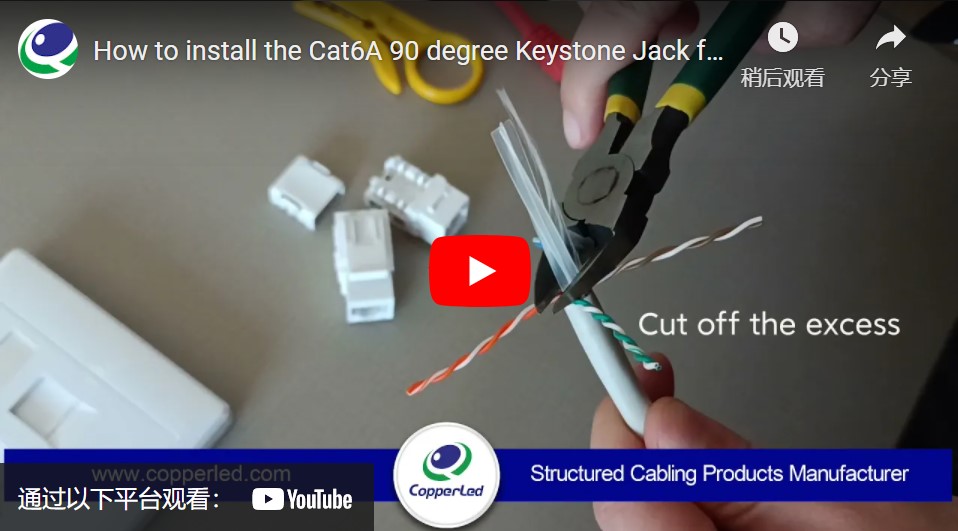 UTP Cat.6A Keystone Jack 90 Degree