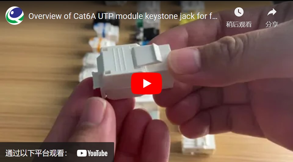 UTP Cat.6 Keystone Jack 180 Degree Black