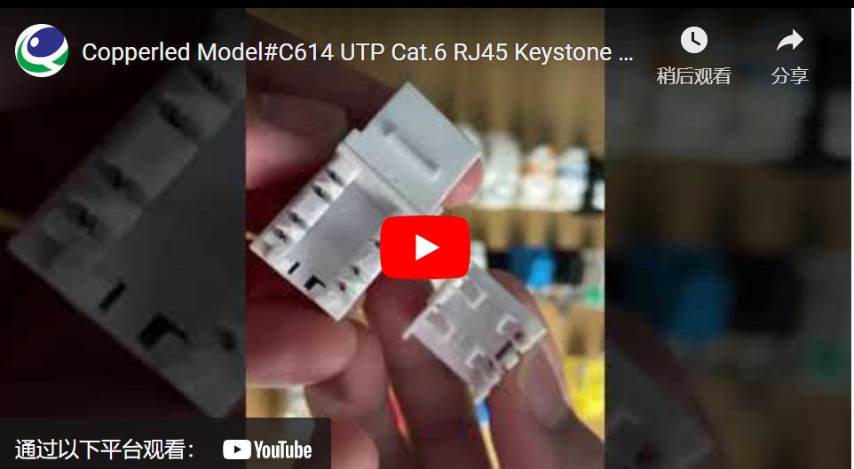 UTP Cat.6 Keystone Jack 90 Degree