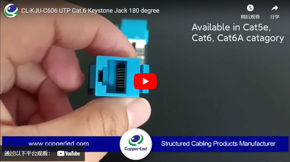 UTP Cat.6 Keystone Jack 180 Degree Blue/black