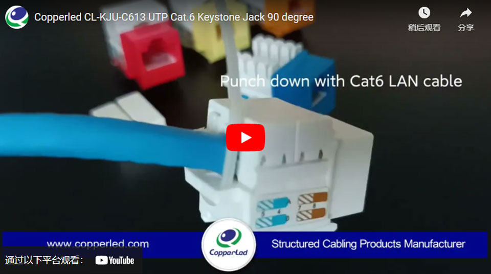 UTP Cat.6 Keystone Jack 90 Degree