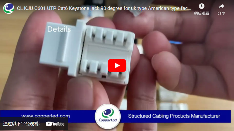 UTP Cat.6 Keystone Jack 90 Degree