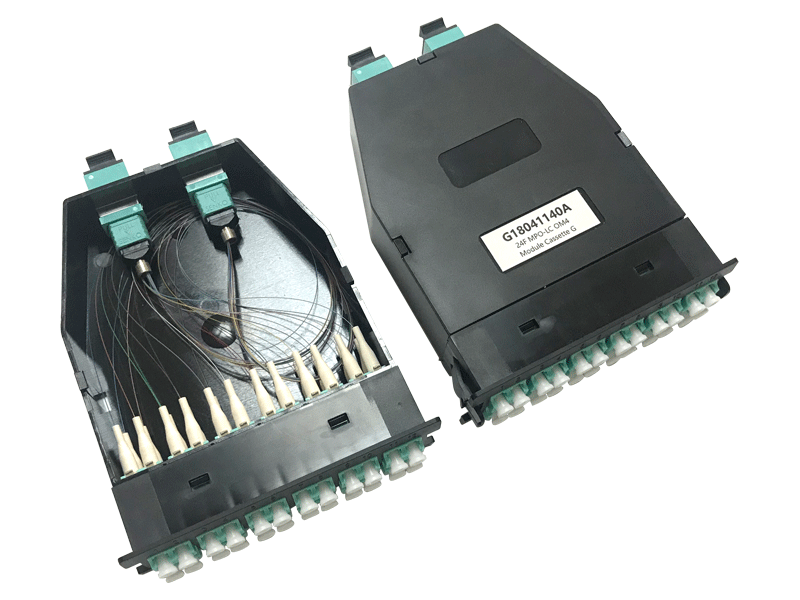 cl fmplc mc4 2